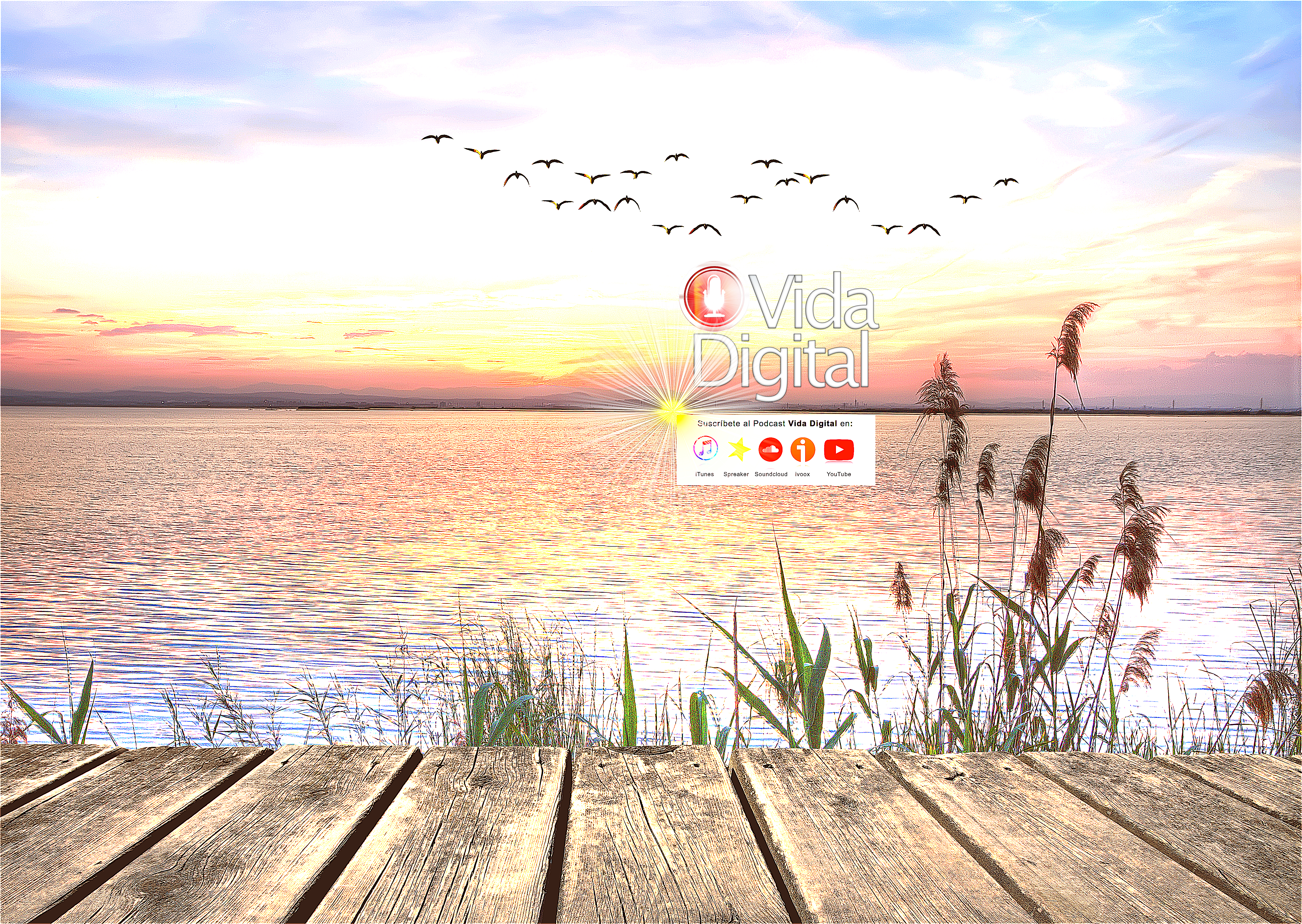 Exprimimos Internet para tu beneficio personal y profesional